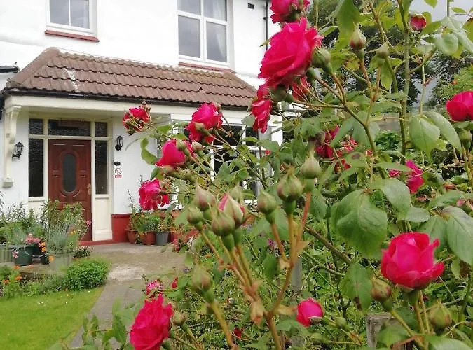 Beechlands B & B