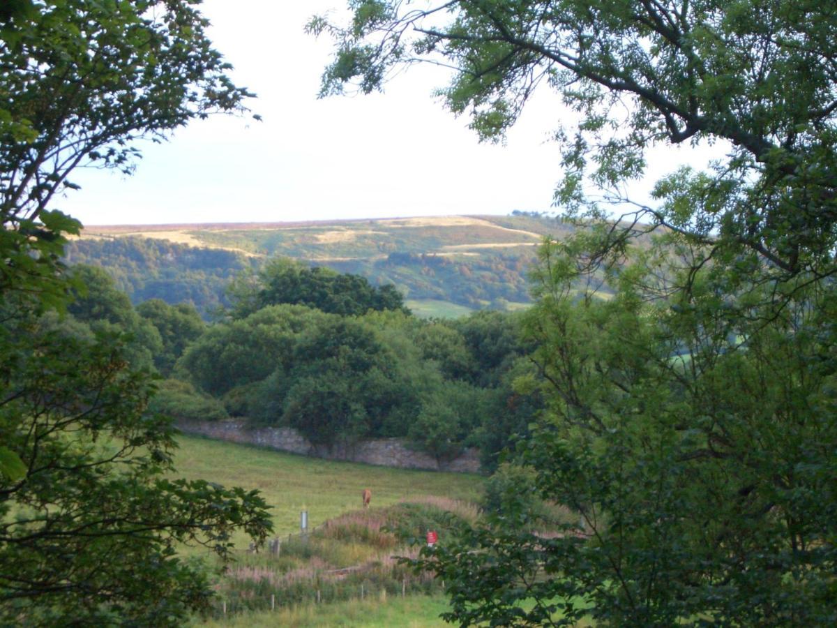 Beechlands Sleights
